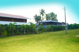 Best Resorts in Vagator North Goa